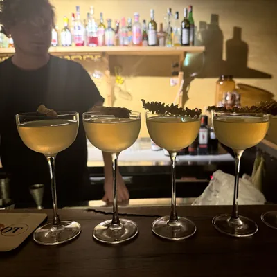A row of coupes lined up on the bar